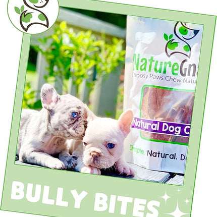 Nature Gnaws Bully Stick Bites for Small Dogs 2-4" (8oz) - Long Lasting for Light Chewers and Puppies - Natural Beef Dog Chew Treats - Rawhide Free