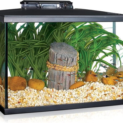 Marina 5 Gallon (19 L) LED Aquarium Kit – Ideal for Beginner Aquarists and New Fish-Keepers