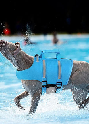 Queenmore XXL Dog Life Jacket - Floating Pet Life Vest, Adjustable Puppy Preserver for Swimming & Boating, Back Zip, Rescue Handle, Hook (Blue)