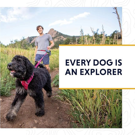 Ruffwear, Web Reaction Dog Collar, Escape-Proof Security Buckle, Adjustable Anti-Slip Martingale Collar with Durable Nylon Tubelok Webbing & Silent ID Attachment, Seafoam, 23"-26"