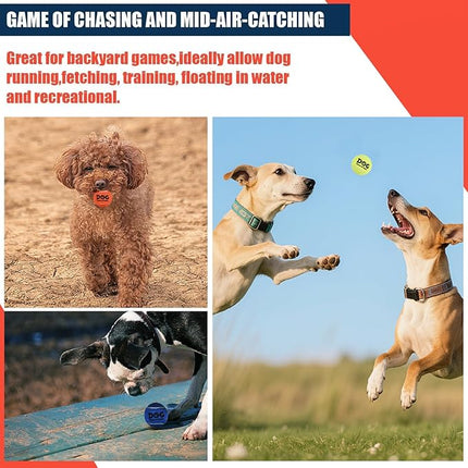 AMA SPORT Small Tennis Balls for Dogs 12 Pack 2.0" Multi Colors Dog Tennis Balls for Puppy Small Dog Toys, Designed for Dogs Floating Water-Hunting Fetch Fun Playing Daily Exercise Mid-air Catching