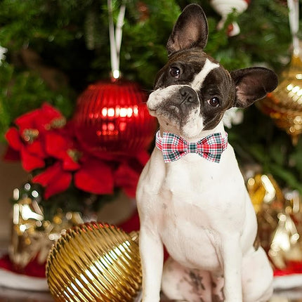 ARING PET Christmas Dog Collar with Bow, Cute Xmas Red Green Plaid Bowtie Pet Collars for Puppy Small Medium Large Girl Boy Dogs-XL