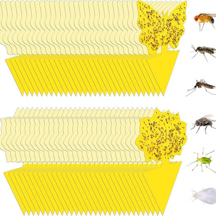 60 Pack Fruit Fly Trap, Fungus Gnat Trap Killer Protect Plants Indoor Outdoor, Double Sided Yellow Bug Sticky Traps for Fungus Gnat, Fruit Fly and Other Insects