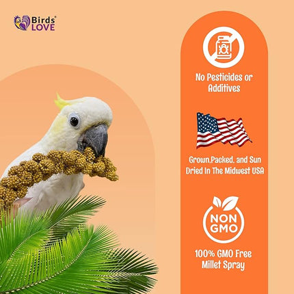 5lbs Wholesome Spray Millet for Birds – Grown, Harvested & Packed in The USA – 100% Natural, Sun‑Dried Bird Treat – Foraging Millet for Parakeets, Cockatiels, Conures, Budgies & Parrots