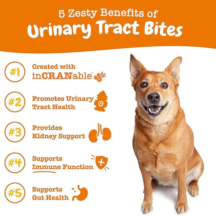 Zesty Paws Cranberry Supplement for Dogs - Bladder Control for Dogs - Urinary Tract Support - Cranberry Chews - Immune & Gut Support - Chicken - 90 Count