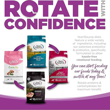 Large Breed Puppy Chicken & Rice Dry Dog Food Size: 1.5-Lb Bag