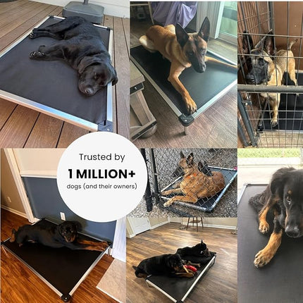 K9 Ballistics Chew Proof Elevated Outdoor Cooling Cot Bed for Medium Dogs - Virtually Indestructible, Preassembled, Withstands Aggressive Chewers - M, Black Mesh