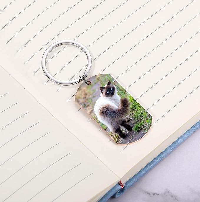 Funnylife Personalized Pet Memorial Keychain for Cats Stainless Steel Custom Pet Photo Memory Keepsake Loss of Cat Sympathy Gifts Cat Pass Away Gifts