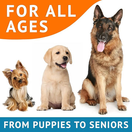 Omega 3 Alaskan Fish Oil Treats for Dogs (360 Ct) - Dry & Itchy Skin Relief + Allergy Support - Shiny Coats - EPA&DHA Fatty Acids - Natural Salmon Oil Chews - Alaskan Salmon Flavor