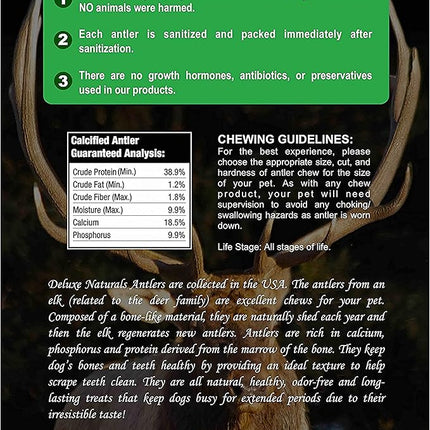 6-Pack Small Split Elk Antler Dog Chews (5 to 6.5+ in) – All Natural, Premium Grade A, Odor-Free, USA-Sourced – Long-Lasting Dental Treats for Toy and Small Dogs Under 15 lbs