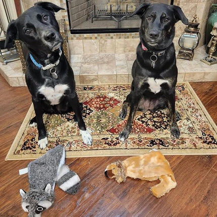 Best Pet Supplies Squeaky Dog Toys with Soft Durable Fabric for Small, Medium and Large Pets Interactive Toy for Indoor Play, Supports Active Biting and Play - Raccoon, Small