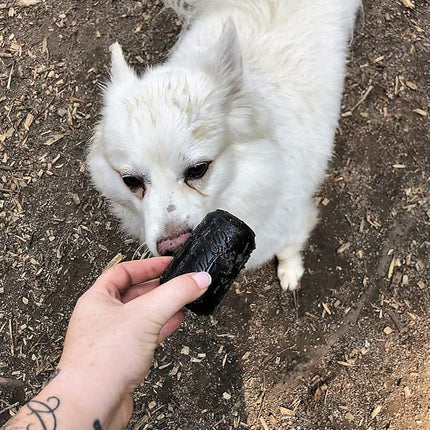 SodaPup Magnum Soda Can – Dog Treat Dispenser & Chew Toy Made in USA from Our Most Durable Non-Toxic, Pet-Safe, Food Safe Natural Rubber for Mental Stimulation, Problem Chewing, Calm Nerves, & More