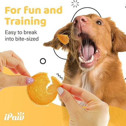 iPaw Chicken Chips Dog Treats for Puppy Training, All Natural Human Grade Dog Treat, Hypoallergenic, Easy to Digest (Chicken Chips), 5 Packs