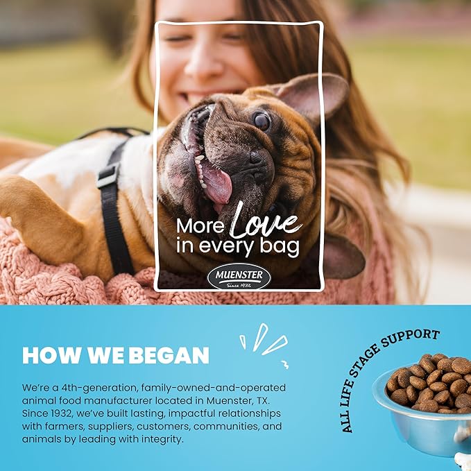 Muenster Ancient Grains Ocean Fish Dry Dog Food, 22lb - Gluten-Free, High Protein, Digestive Support