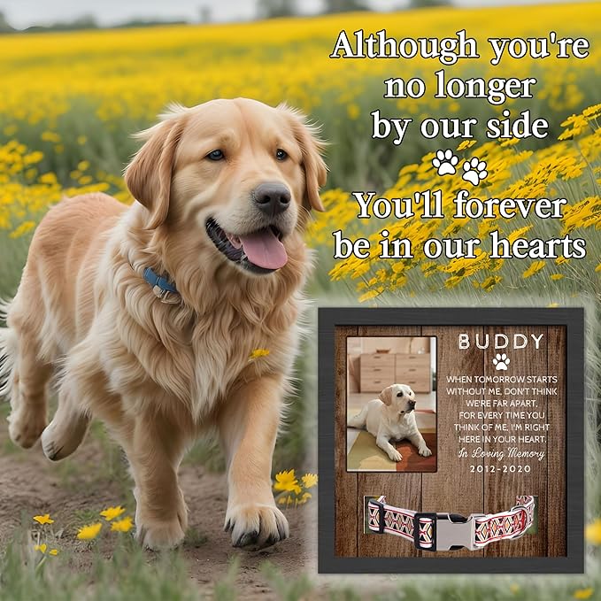 Customized Dog Memorial Gifts for Loss of Dog, Pet Memorial Gifts for Dogs, in Memory of Dog,Pet Sympathy Gifts for Dogs, Pet Memorial Gifts Cat, Dog Memorial Collar Frame, Pet Loss Gifts