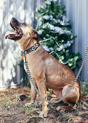 Roses&Poetry Dog Collar with Colourful Checkered Patterns, Adjustable Durable Puppy Collars for Small Medium Large Dogs (Black & White-M)