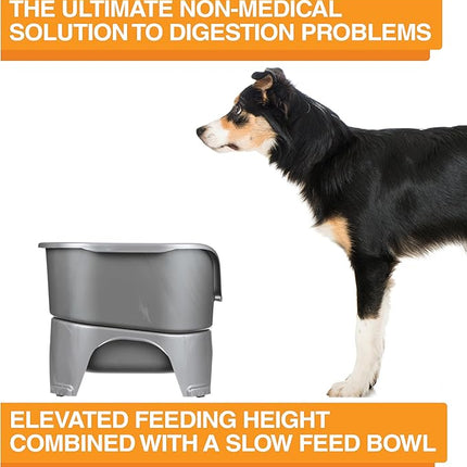 Neater Feeder - Express Model w/ Slow Feed Bowl - Mess-Proof Dog Bowls (M/L, Grey) Made in USA – Elevated, No Spill, Non-Tip, Non-Slip, Raised Stainless Steel Food/Water Pet Bowls Aid Digestion
