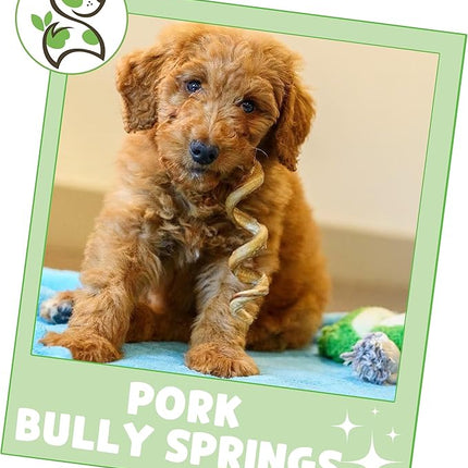 Nature Gnaws Pork Bully Stick Springs for Dogs 7-8" (12 Count) - Long Lasting for Small and Medium Dogs - Natural Bacon Dog Chew Treats - Rawhide Free