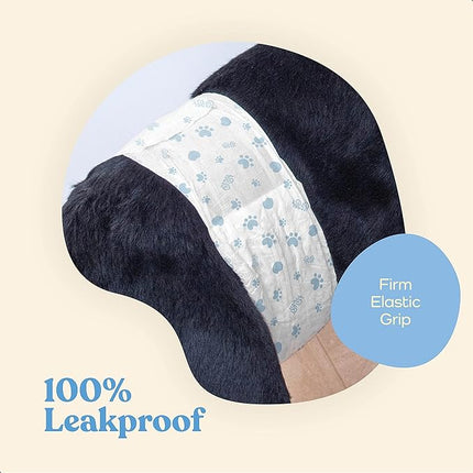 Comfortable Male Dog Diapers - 12-Pack Super Absorbent Disposable Male Dog Wraps- FlashDry Gel Technology, Wetness Indicator Doggie Diapers- Leakproof Belly Wraps for Incontinence, Excitable Urination