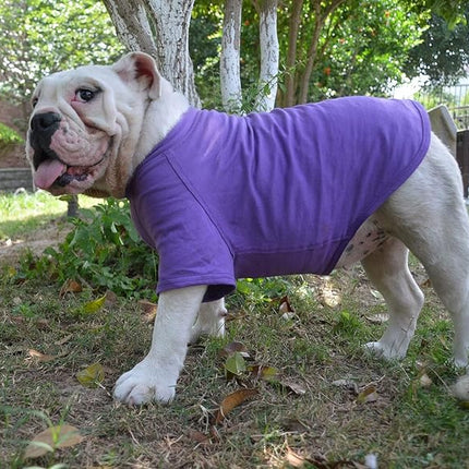 Lovelonglong Bulldog Clothes Dog Clothing Blank T-Shirt Tee Shirts for French Bulldog English Bulldog American Pit Bull Pugs 100% Cotton Skin Care Purple B-XL