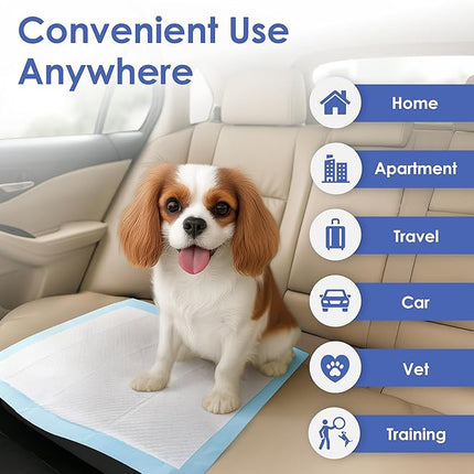 American Kennel Club Scented Puppy Training Pads with Ultra Absorbent Quick Dry Gel – 22 x 22 Pee Pads for Dogs - Fresh Scented - Pack of 100