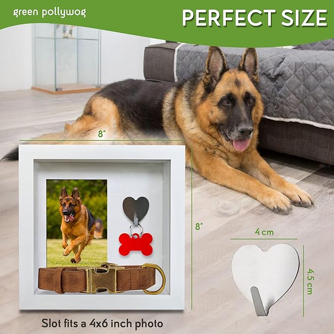 Green Pollywog Pet Memorial Shadowbox with Photo, Tag & Collar Display | White Frame with 4” x 6” Picture Opening | 10” x 10” x 2.5” Keepsake Box
