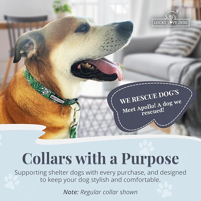 Lucky Love Dog Collar, Beautiful & Vivid Pattern X-Small Boy Dog Collars, Easy On & Off Clasp Accessory (Blue Laguna, XS)