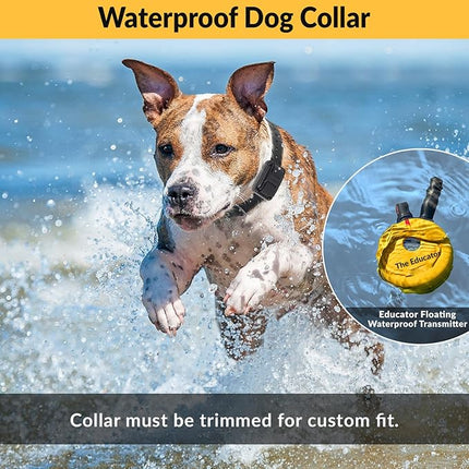 Educator E-Collar Humane Dog Training Collar with Remote, 100 Safe Tapping Stimulation Levels, Night Light, Waterproof, Rechargeable, 3/4 Mile 2 Small-Medium Dogs, Yellow