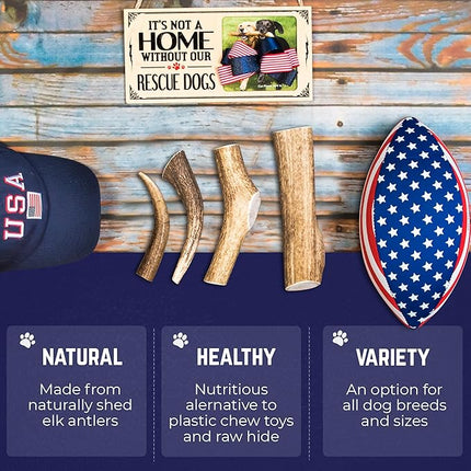 Devil Dog Pet Co. Elk Antlers for Dogs, Monster 9"+, 1 Pack, Grade A Long Lasting Chew for Aggressive Chewers, Premium USA Naturally Shed Antler – Healthy, No Odor, Durable Dog Chew