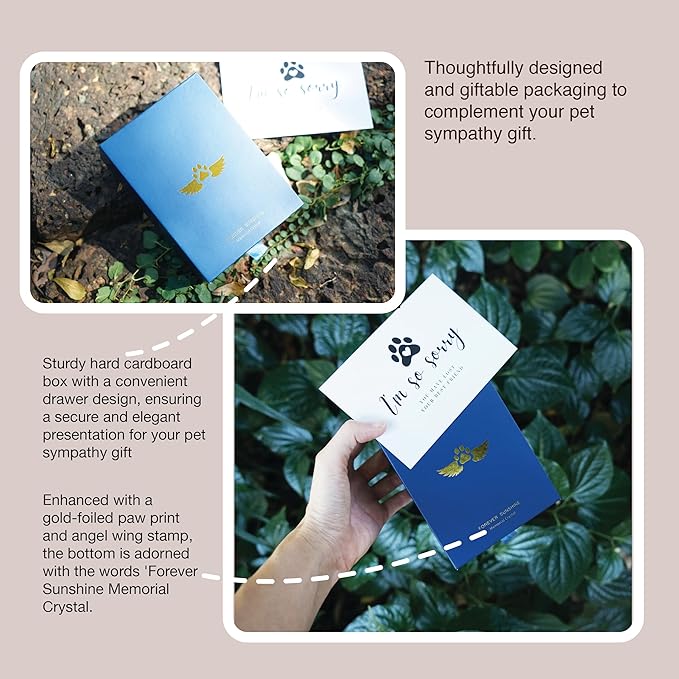 Pet Memorial Suncatcher, Dog Memorial Gifts, Pet Loss, Pet Sympathy, Thoughtful Dogs and Cats Remembrance, Bereavement Gifts