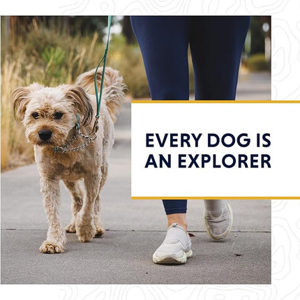 Ruffwear, Chain Reaction Dog Collar, Adjustable Reflective Martingale Escape-Proof Collar with Stainless Steel Chain, Professional Training Control, River Rock Green, 20"-26"