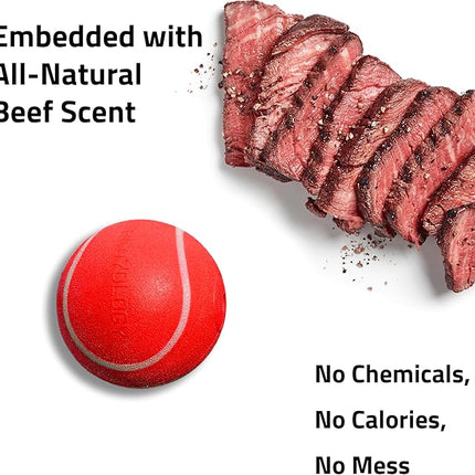Playology Dog Toys | Squeaky Chew Ball - Bouncy Durable Floating Fetch Ball for Dogs | Jumbo Beef Scented Toy - Easy to Clean and Made from Non Toxic Materials
