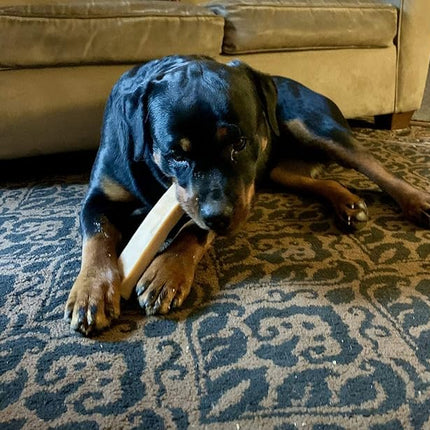 Bully Bunches Extra Large Authentic Yak Cheese Himalayan Chews for Large Dogs & Aggressive Chewers - All Natural Dog Treat Dental Chews, Made with Real Yak Milk - Lactose & Rawhide Free (2 PK)