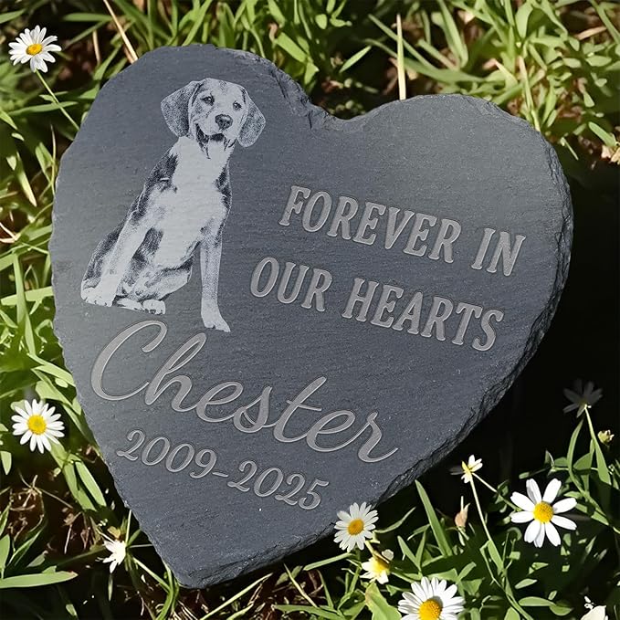 Pet Memorial Stone, Dog Memorial Stone, Dog Memorial Gifts for Loss of Dog, Pet Memorial Gifts, Loss of Pet Sympathy Gift, in Loving Memory Pet - Forever in Our Hearts - Heart Shaped