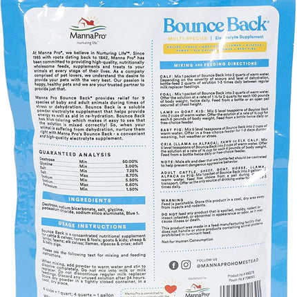 Manna Pro Bounce Back Supplement | Multi-Species Electrolyte | 4 oz