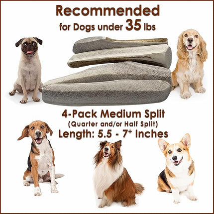 Elk Antler Dog Chews | Long-Lasting A-Grade Premium Elk Antler Chews for Dogs from Naturally Shed Elk Antlers Collected in The USA, Split, Medium (Pack of 4)