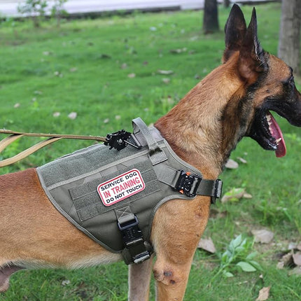 ICEFANG Tactical Dog Harness, Large Size,2X Metal Buckle,Working Dog MOLLE Vest with Handle,No Pulling Front Leash Clip,Hook and Loop Panel (Green,L (Pack of 1))