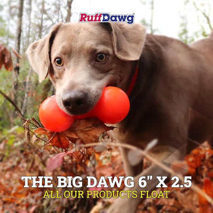 Ruff Dawg Big Dawg - Indestructible Dog Toy for Rough Play - Barbell Shape Bounce for Chase, Catch - Shred-Resistant Plastic - Colors Vary - 1 Toy