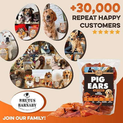 BRUTUS & BARNABY Whole Pig Ears for Dogs, 100 Ct. – All-Natural Single Ingredient Dog Chews, Slow Cooked & Fully Digestible Rawhide Alternative