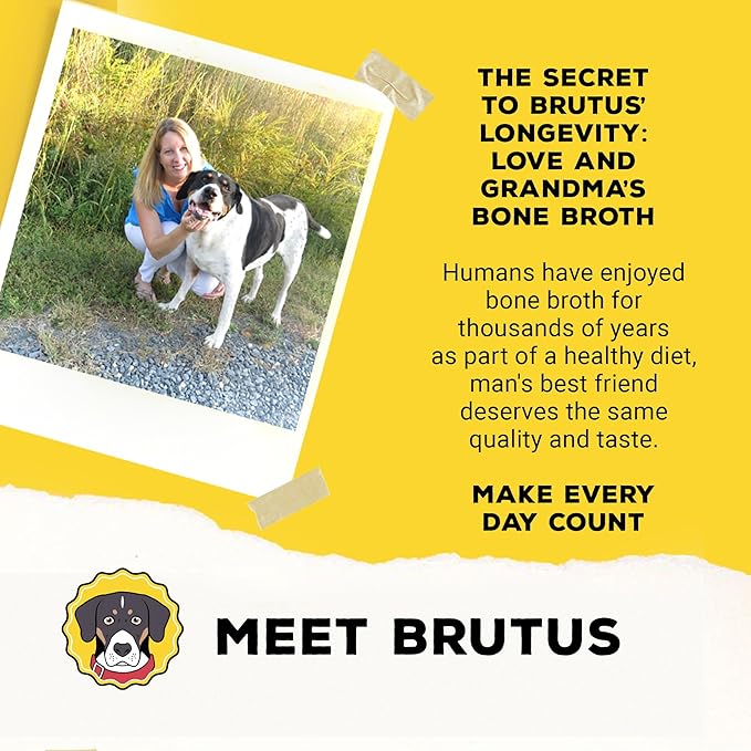 Brutus Bone Broth Biscuits (Beef) - Healthy Dog Treats - Natural Dog Biscuits with Bone Broth and Real Beef for Healthy Joints - 18 Grams of Protein - 8 OZ (Pack of 2)