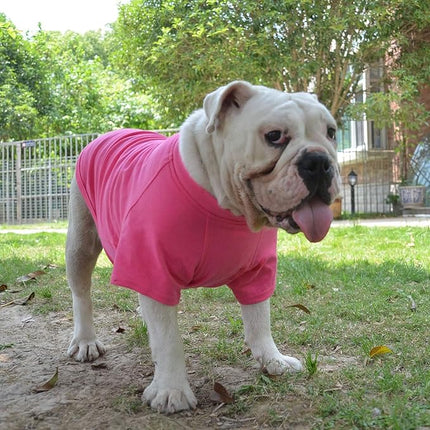 Lovelonglong Bulldog Clothes Dog Clothing Blank T-Shirt Tee Shirts for French Bulldog English Bulldog American Pit Bull Pugs 100% Cotton Skin Care Rose-red B-XL