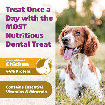 Yummy Combs Dog Dental Treats – Vet VOHC Approved, Removes Tartar & Cleans Teeth – Yummy High Protein Chicken Treat for Large Dogs (Mini Pack, 6 Count)