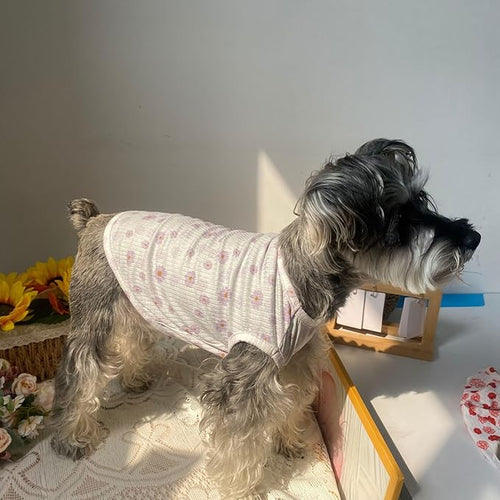 2PCS Summer Dog Cotton T Shirt Pet Tee Shirts Puppy Daisy Flower Prints Clothes Apparel for Small Dogs Cats