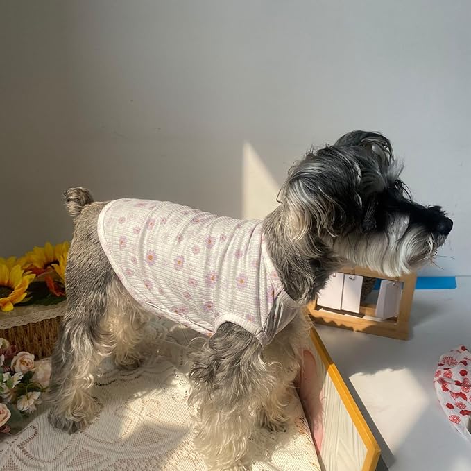 2PCS Summer Dog Cotton T Shirt Pet Tee Shirts Puppy Daisy Flower Prints Clothes Apparel for Small Dogs Cats