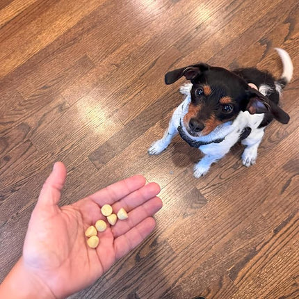 Exclusively Dog Best Buddy Bits Training Treats for Dogs and Puppies - All Natural, Baked in The USA, Ideal for Training & Agility, No Animal Byproducts - Peanut Butter Flavor, 5.5oz Resealable Bag