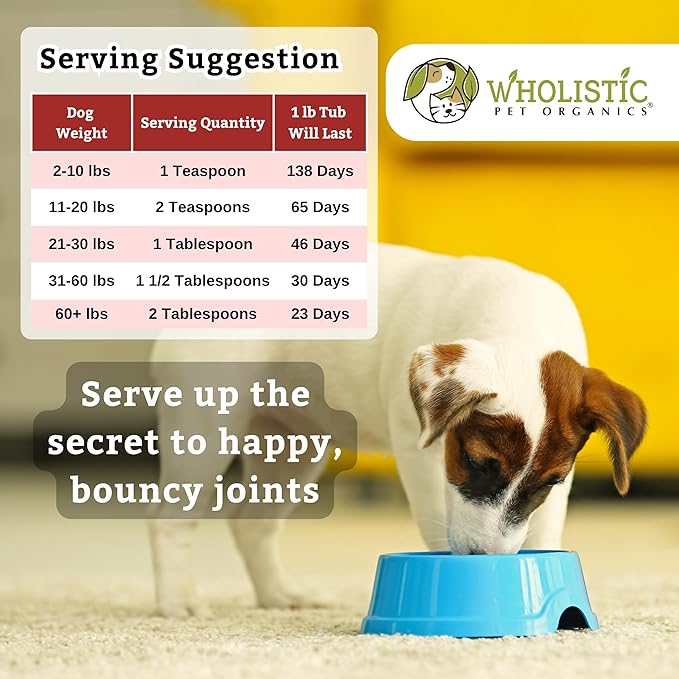 Wholistic Pet Organics Joint Mobility GLM - 1 Lb - Hip and Joint Supplement for Dogs - Glucosamine for Dogs - Chondroitin Supplement with Green Lipped Mussels - Senior to Puppy - Large & Small Breeds