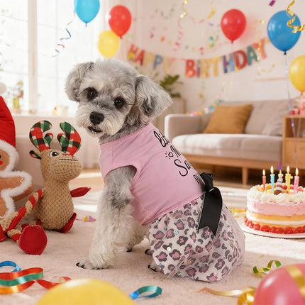 Little Miss Sassy Pants Dog Dress with Leopard Print Bowknot Dog Clothes for Small Medium Large Dogs Girls Boys Cats Outfit Apparel