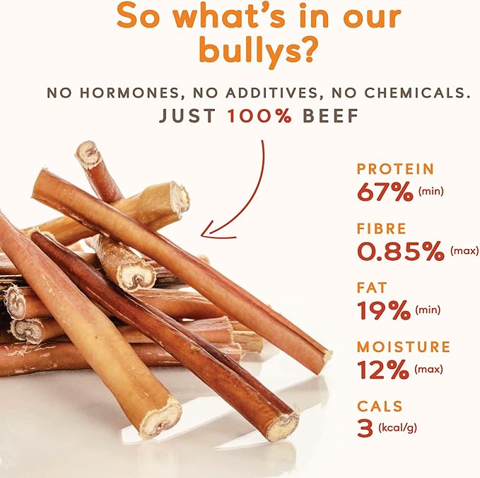 Earthly Maplewood Smoked Large Bully Sticks - Large Dog Chews, Thick Sticks - Grass Fed, All Natural, Made in Canada (12-inch, 10 Pack)