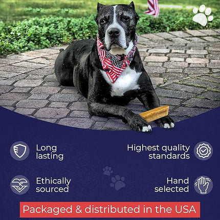 Devil Dog Pet Co. Himalayan Yak Cheese Dog Chews, Small - 4 Pack, 100% Natural & Healthy, Lactose-Free, Long-Lasting Dog Treats, Premium Yak Milk Chew Bones for Dogs