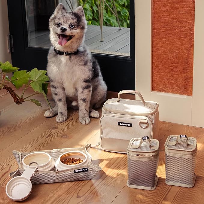 Small 7-Piece Bistro Box Dog Food Travel Kit, 6-Cup Kibble Storage, 2 Silicone Bowls, Mat & Scoop - Premium Portable Pet Food Kit for Weekends, Overnights, Daycare & Camping, Sand